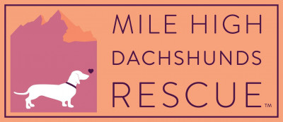 Mile High Dachshunds Rescue, Inc - Pet Shelter and Rescue in Westminster, Colorado
