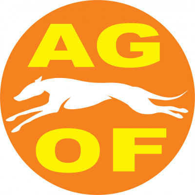 Adoptable Greythounds Of Florida Inc. - Pet Shelter and Rescue in Venice, Florida