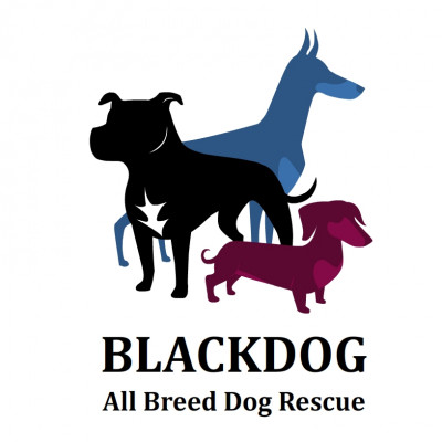 Blackdog All Breed Dog Rescue - Pet Shelter and Rescue in Glenview, Illinois