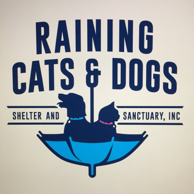 Raining Cats And Dogs Shelter And Sanctuary, Inc. - Pet Shelter and Rescue in Plant City, Florida