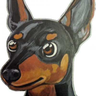 Mo Min Pin Rescue - Pet Shelter and Rescue in Hazelwood, Missouri