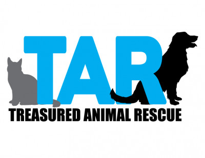 Treasured Animal Rescue, Inc - Pet Shelter and Rescue in Naperville, Illinois