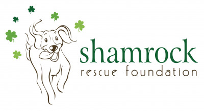 Shamrock Rescue Foundation - Pet Shelter and Rescue in Santa Ana, California