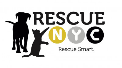RescueNYC - Pet Shelter and Rescue in New York, New York