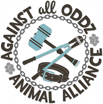 Against All Oddz Animal Alliance - Pet Shelter and Rescue in Darien Center, New York