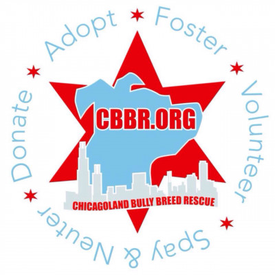 Chicagoland Bully Breed Rescue - Pet Shelter and Rescue in Niles, Illinois