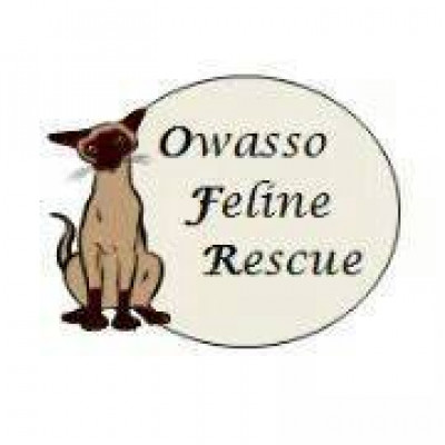 Owasso Feline Rescue - Pet Shelter and Rescue in Owasso, Oklahoma