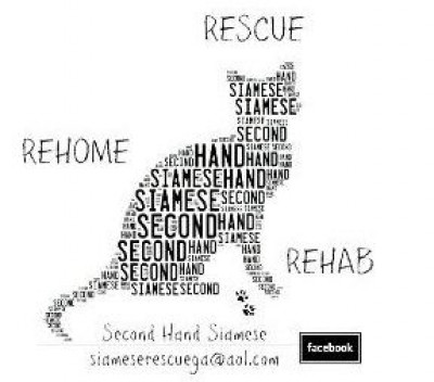 Second Hand Siamese - Pet Shelter and Rescue in Oakwood, Georgia