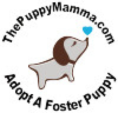 The Puppy Mamma - Pet Shelter and Rescue in Apache Junction, Arizona