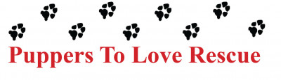 Puppers To Love - Pet Shelter and Rescue in Evansville, Wisconsin