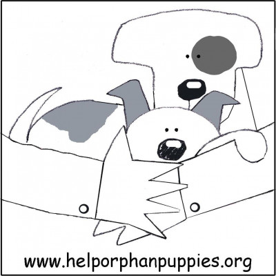 Help Orphan Puppies - Pet Shelter and Rescue in Albany, New York