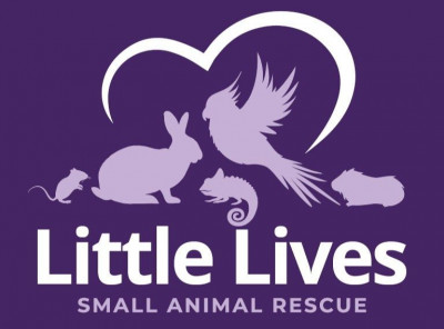 Little Lives Small Animal Rescue - Pet Shelter and Rescue in Pasco, Washington