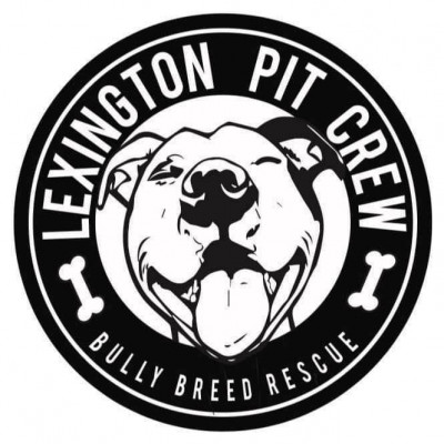 Lexington Pit Crew - Pet Shelter and Rescue in Lexington, Kentucky