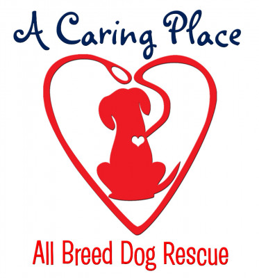 A Caring Place - All Breed Dog Rescue - Pet Shelter and Rescue in Westmont, Illinois