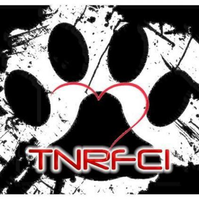 TNR Feral Cat Initiative Of NC - Pitt County - Pet Shelter and Rescue in Greenville, North Carolina
