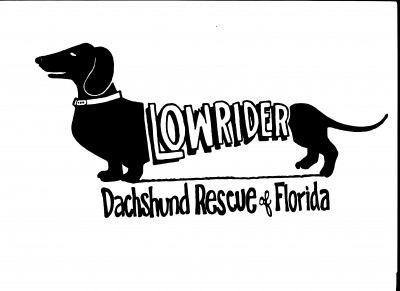 Low Rider Dachshund Rescue Of Florida - Pet Shelter and Rescue in PT CHARLOTTE, Florida