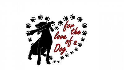For The Love Of A Dog - Pet Shelter and Rescue in Greenfield, Massachusetts