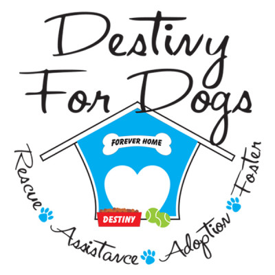 Destiny For Dogs - Pet Shelter and Rescue in West Palm Beach, Florida