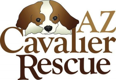AZ Cavalier Rescue - Pet Shelter and Rescue in Phoenix, Arizona