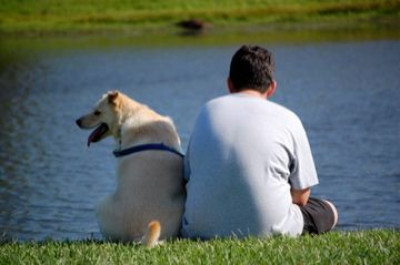 For The Love Of Dogs - Pet Shelter and Rescue in Wilson, North Carolina