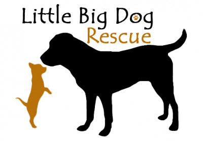 Little Big Dog Rescue - Pet Shelter and Rescue in Christiansburg, Virginia