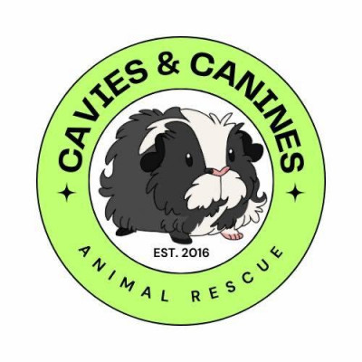 Cavies And Canines Animal Rescue - Pet Shelter and Rescue in Wellington, Colorado