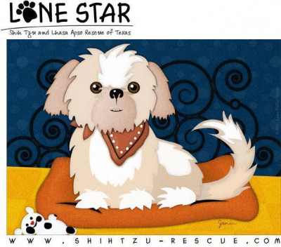 Lone Star Shih Tzu And Lhasa Apso Rescue - Pet Shelter and Rescue in Houston, Texas