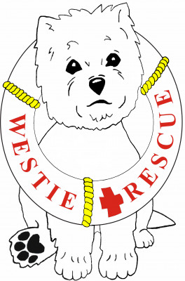 Westie Rescue USA - Pet Shelter and Rescue in Washington, District Of Columbia