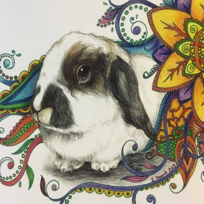 Remembering Ruby Rabbit Rescue - Pet Shelter and Rescue in Eagle, Idaho