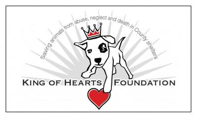 King Of Hearts Foundation - Pet Shelter and Rescue in Manhattan Beach, California