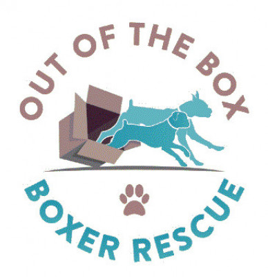 Out Of The Box Boxer Rescue - Pet Shelter and Rescue in Loganville, Georgia