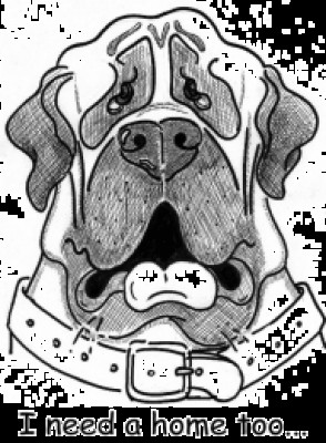 Eye On The Sparrow - Pet Shelter and Rescue in Yorkville, Illinois