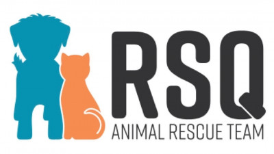RSQ - Pet Shelter and Rescue in St. George, Utah