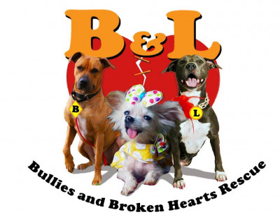 B And L Bullies And Broken Hearts Rescue - Pet Shelter and Rescue in Houma, Louisiana