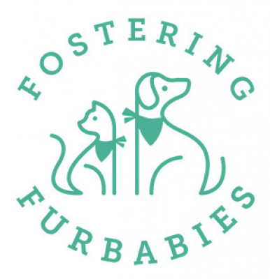 The Life Of Fostering Furbabies Animal Rescue - Pet Shelter and Rescue in Burton, Michigan