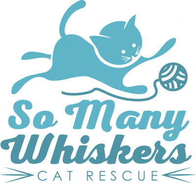 So Many Whiskers, Inc. - Pet Shelter and Rescue in Odenton, Maryland