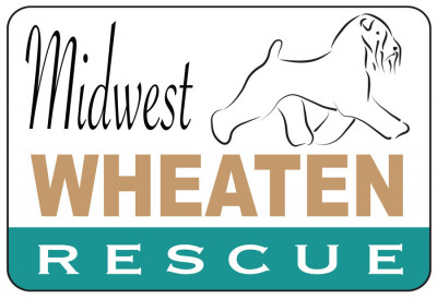 Midwest Wheaten Rescue - Pet Shelter and Rescue