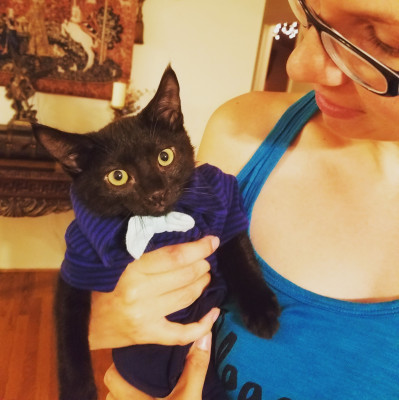 The Sherwood Cat Rescue - Pet Shelter and Rescue in Bethel, Ohio