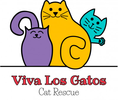 Viva Los Gatos Cat Rescue - Pet Shelter and Rescue in Cleveland, Ohio