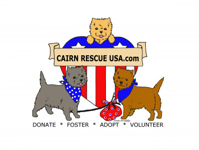 Cairn Rescue USA- Central And Midwest - Pet Shelter and Rescue in Chicago, Illinois