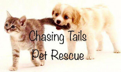 Chasing Tails Rescue - Pet Shelter and Rescue in Great Bend, Kansas