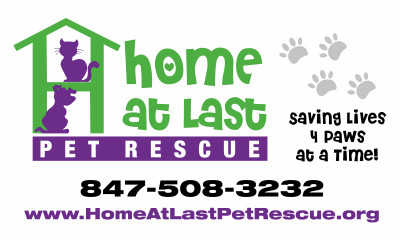 Home At Last Pet Rescue - Pet Shelter and Rescue in Schaumburg, Illinois