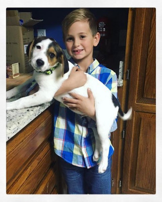 Paws Crossed Dog Rescue, Inc - Pet Shelter and Rescue in Brewton, Alabama