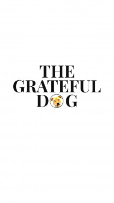 The Grateful Dog Animal Rescue - Pet Shelter and Rescue in Portland, Maine