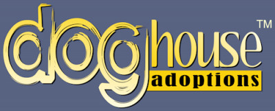 Dog House Adoptions - Pet Shelter and Rescue in Waterford, New York