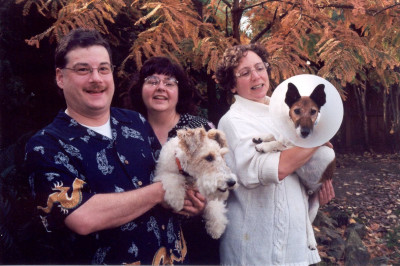 Rose City Fox Terrier Rescue, Inc. - Pet Shelter and Rescue in Portland, Oregon