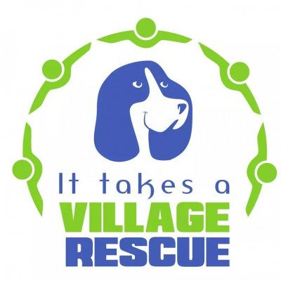 It Takes A Village Rescue - Pet Shelter and Rescue in Sanford, North Carolina