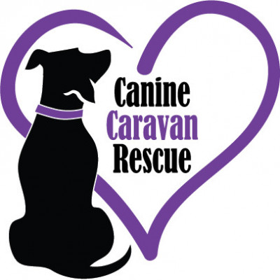 Canine Caravan Rescue, Inc. - Pet Shelter and Rescue in Tucker, Georgia