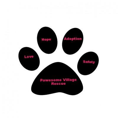 Pawesome Village  Rescue - Pet Shelter and Rescue in New Port Richey, Florida
