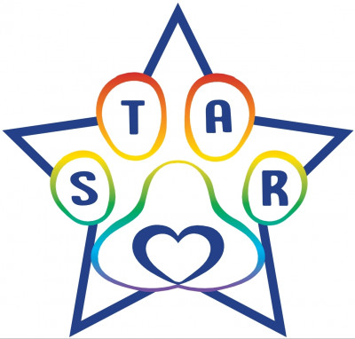 Safe Tails Animal Rescue - Pet Shelter and Rescue in Merrimac, Massachusetts